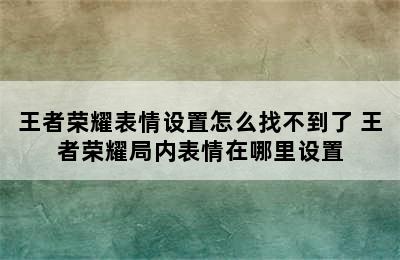 王者荣耀表情设置怎么找不到了 王者荣耀局内表情在哪里设置